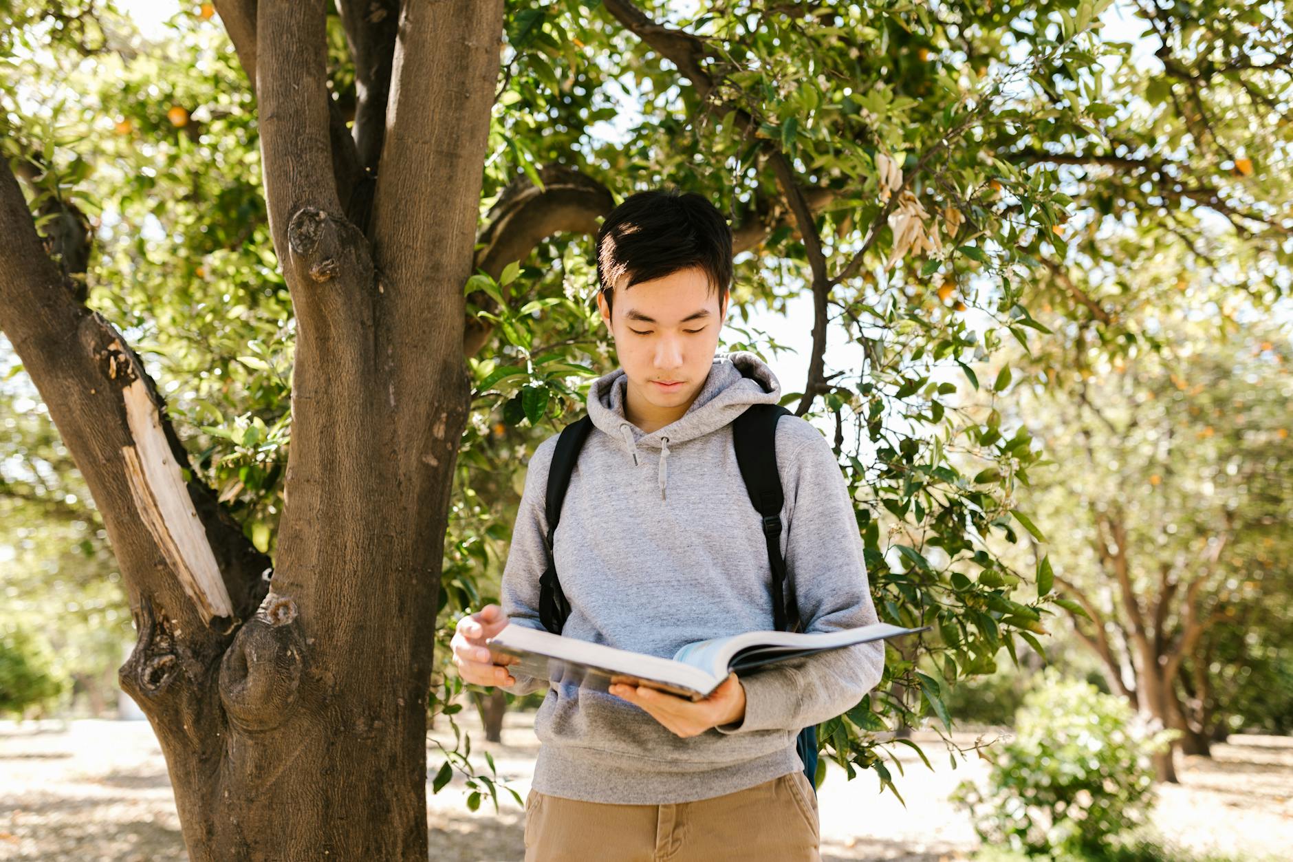 Learn Finnish anywhere at your own pace